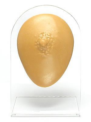 Silicone Male Nipple Display - Tan Body Bit Version 1