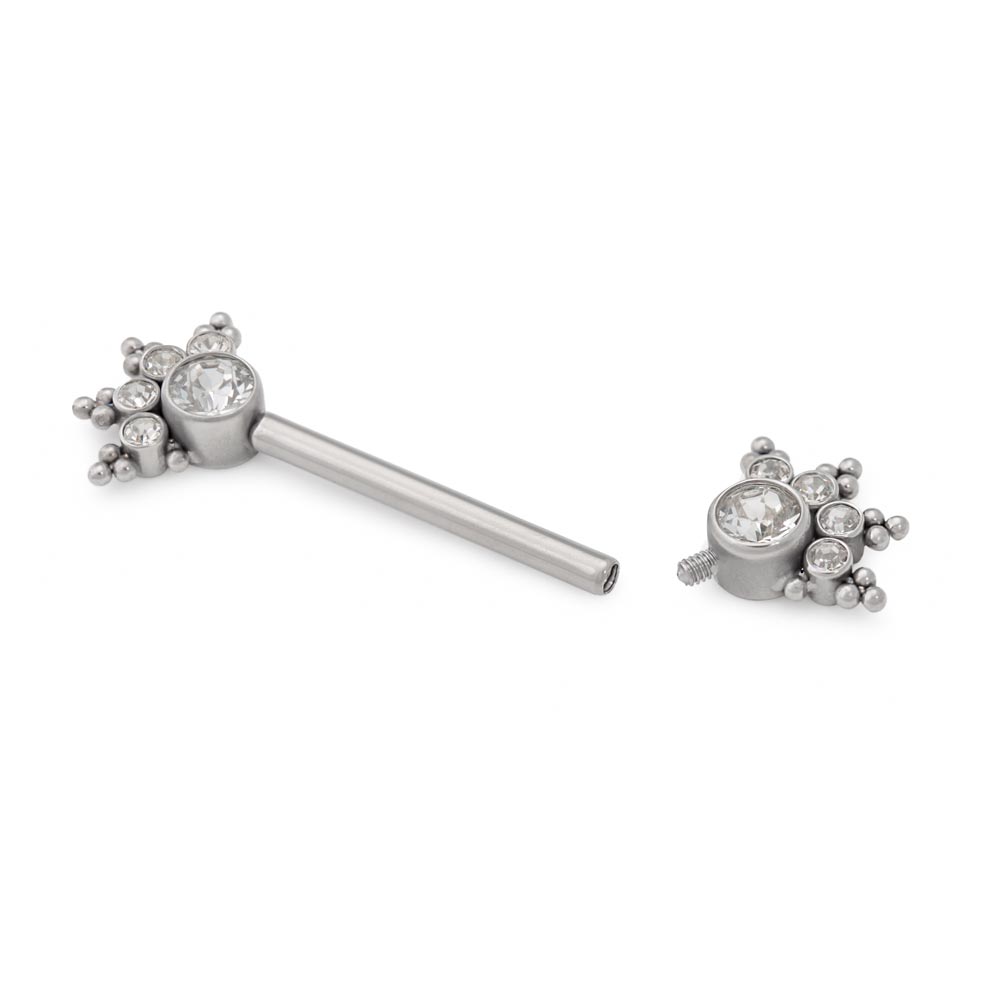 Gem Burst Titanium Nipple Barbell - Threaded