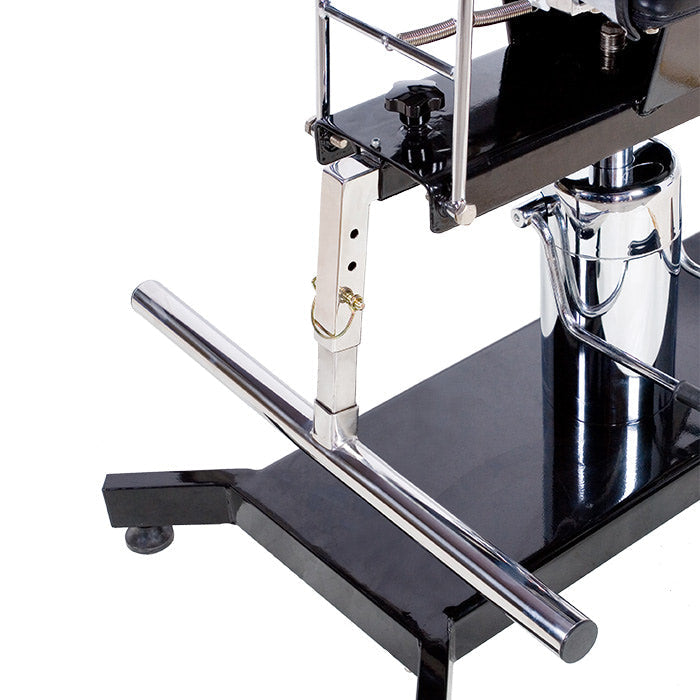 TATSoul 370-S Adjustable Client Chair