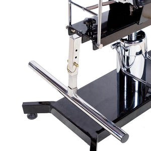 TATSoul 370-S Adjustable Client Chair