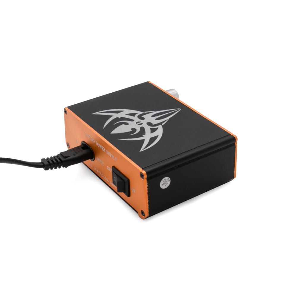 Precision Dual Tattoo Power Supply