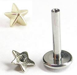 18g Internally Threaded Labret with 14kt Yellow Gold Nautical Star