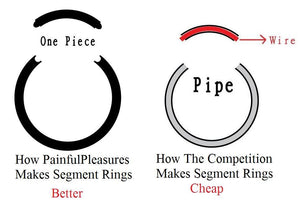 16g Stainless Steel Segment Ring