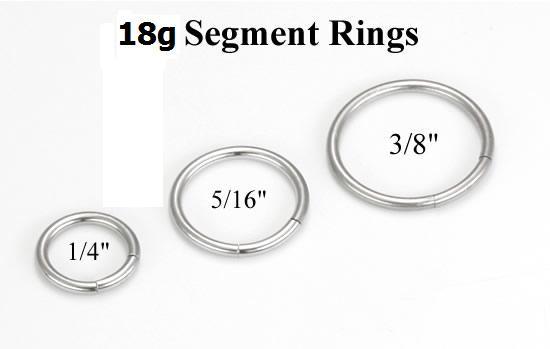 18g Stainless Steel Segment Ring