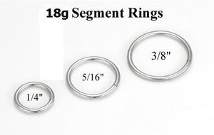 18g Stainless Steel Segment Ring
