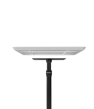 Ghost Tattoo Demon Tray (Tray Only)